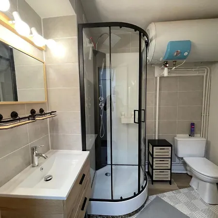 Renove Avec Acces Direct Aux Pistes, Bien Equipe - Fr-1-165a-169 Apartment Enchastrayes